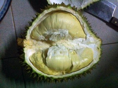 Fresh Durian