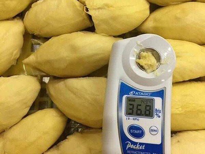 Frozen Durian