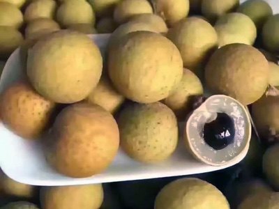 Fresh Longan